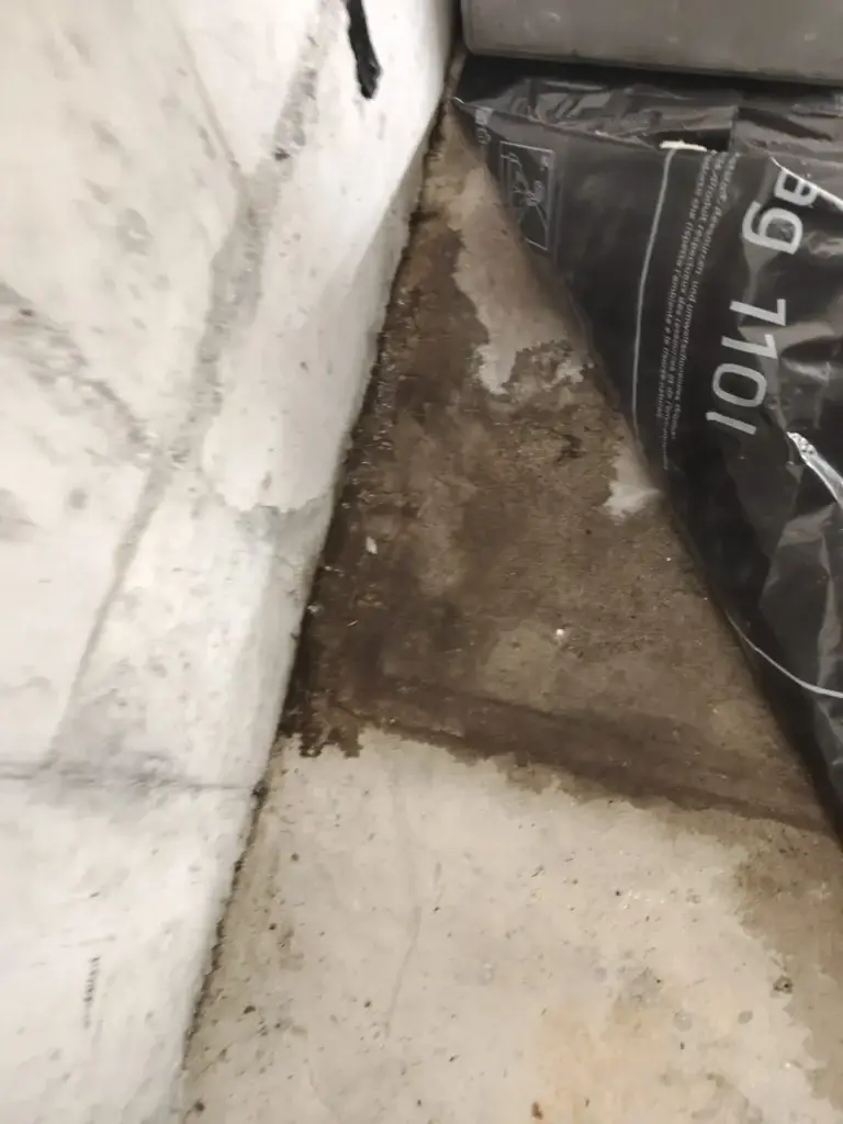 Feuchte Kellerecke mit Wasserspuren am Boden und an der Wand